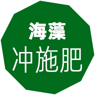 海藻肥,嘉特海藻肥,海藻葉面肥,海藻沖施肥