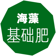 海藻肥,嘉特海藻肥,海藻葉面肥,海藻沖施肥